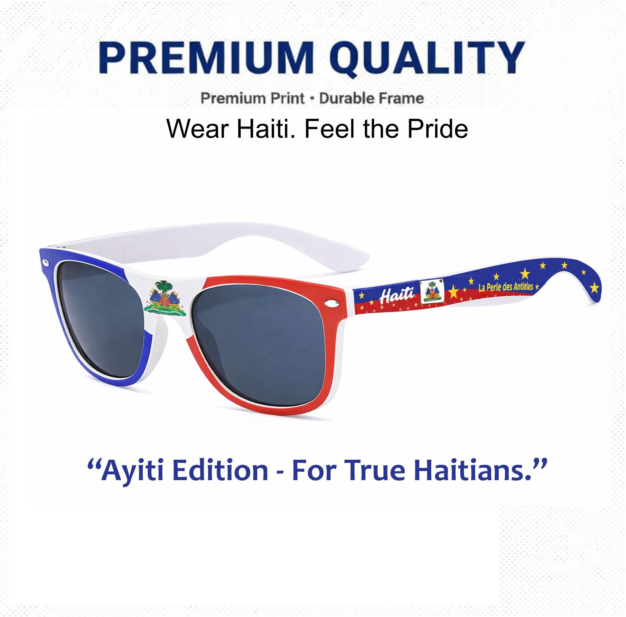 Linet_Haiti_update_4