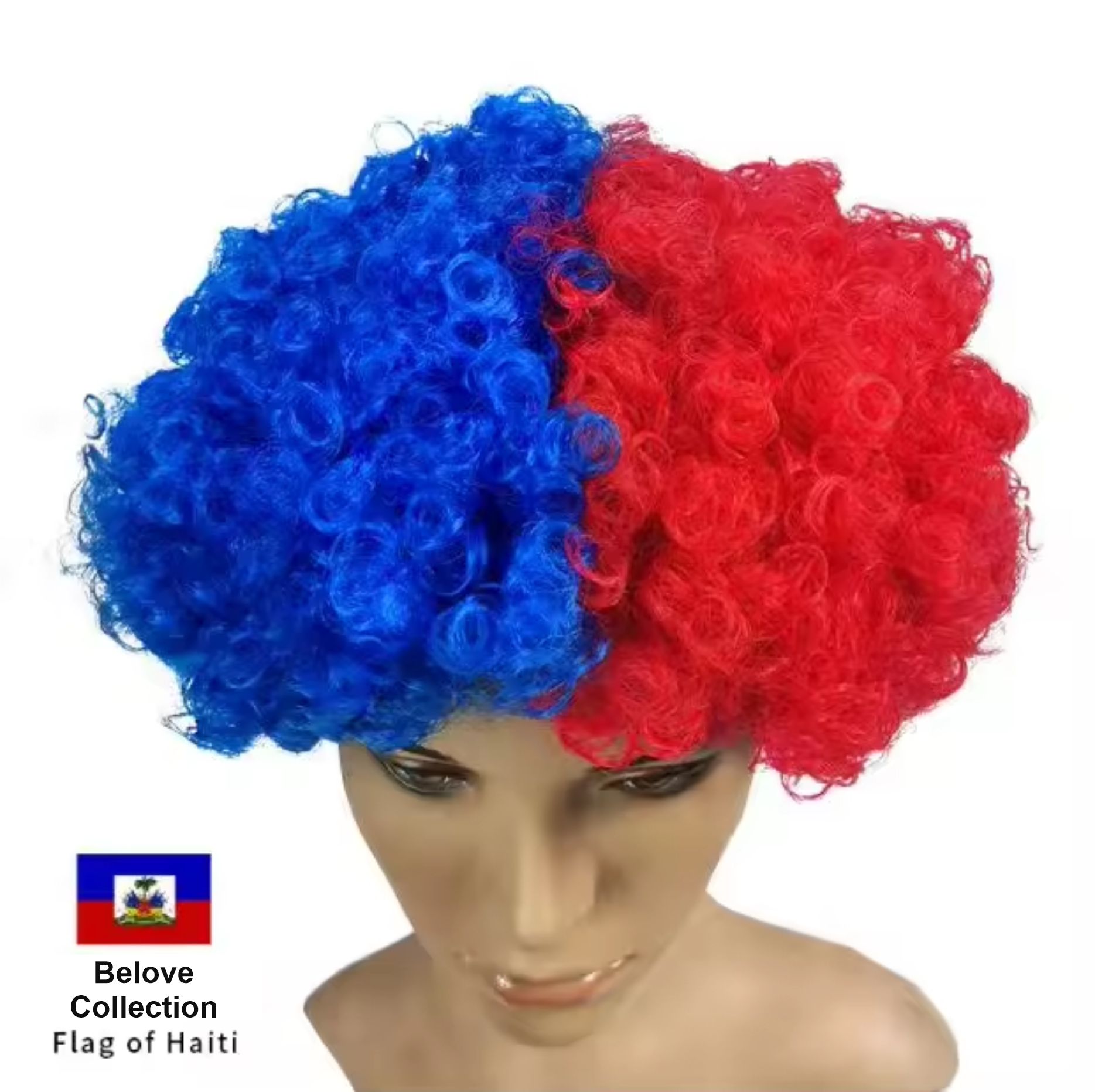 Wig_Flag_desciption)3